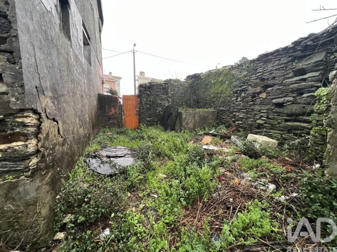 Moradia para Venda em Campo e Sobrado Foto 2