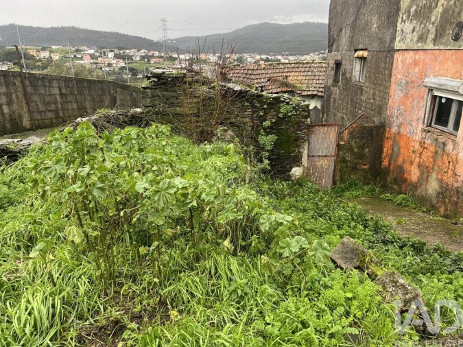 Moradia para Venda em Campo e Sobrado Foto 4