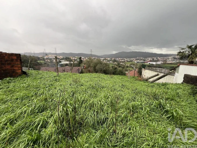 Moradia para Venda em Campo e Sobrado Foto 15
