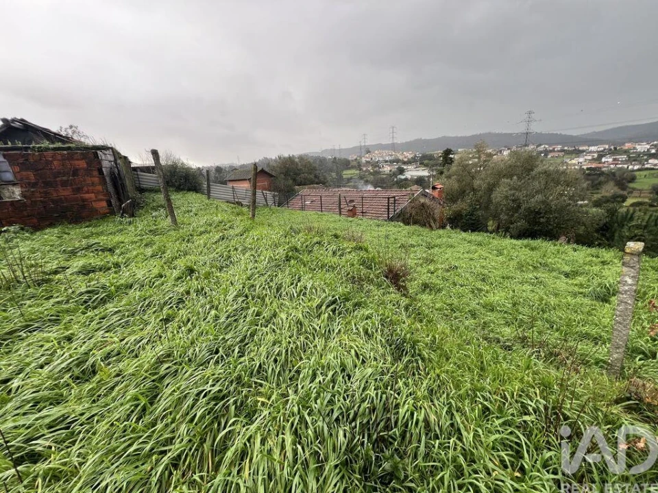 Moradia para Venda em Campo e Sobrado Foto 14