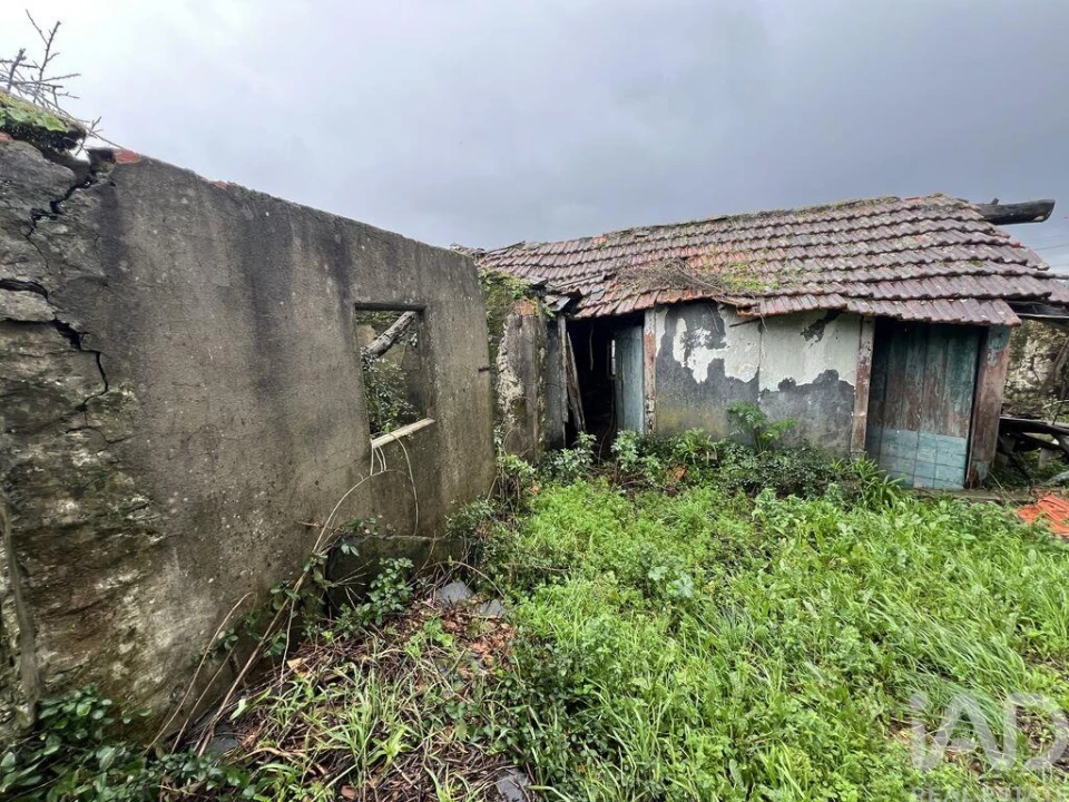 Moradia para Venda em Campo e Sobrado Foto 6