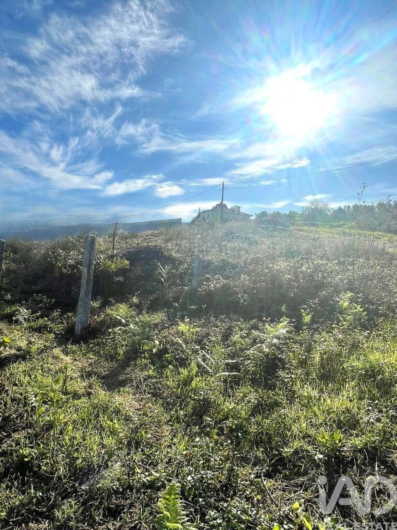Terreno para Venda em Torre e Vila Mou Foto 2