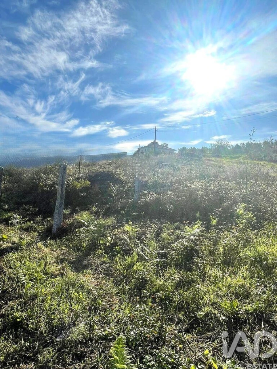 Terreno para Venda em Torre e Vila Mou Foto 2
