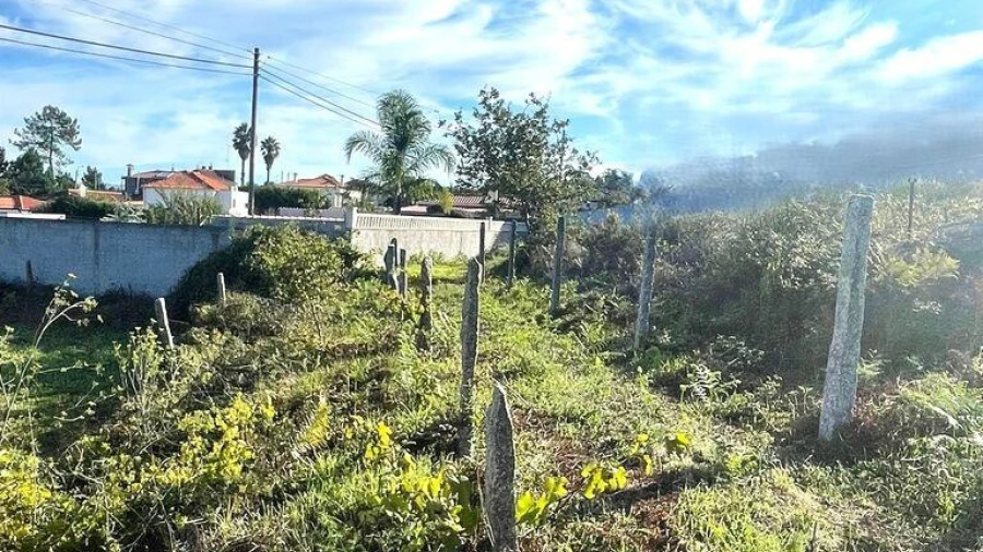 Terreno para Venda em Torre e Vila Mou