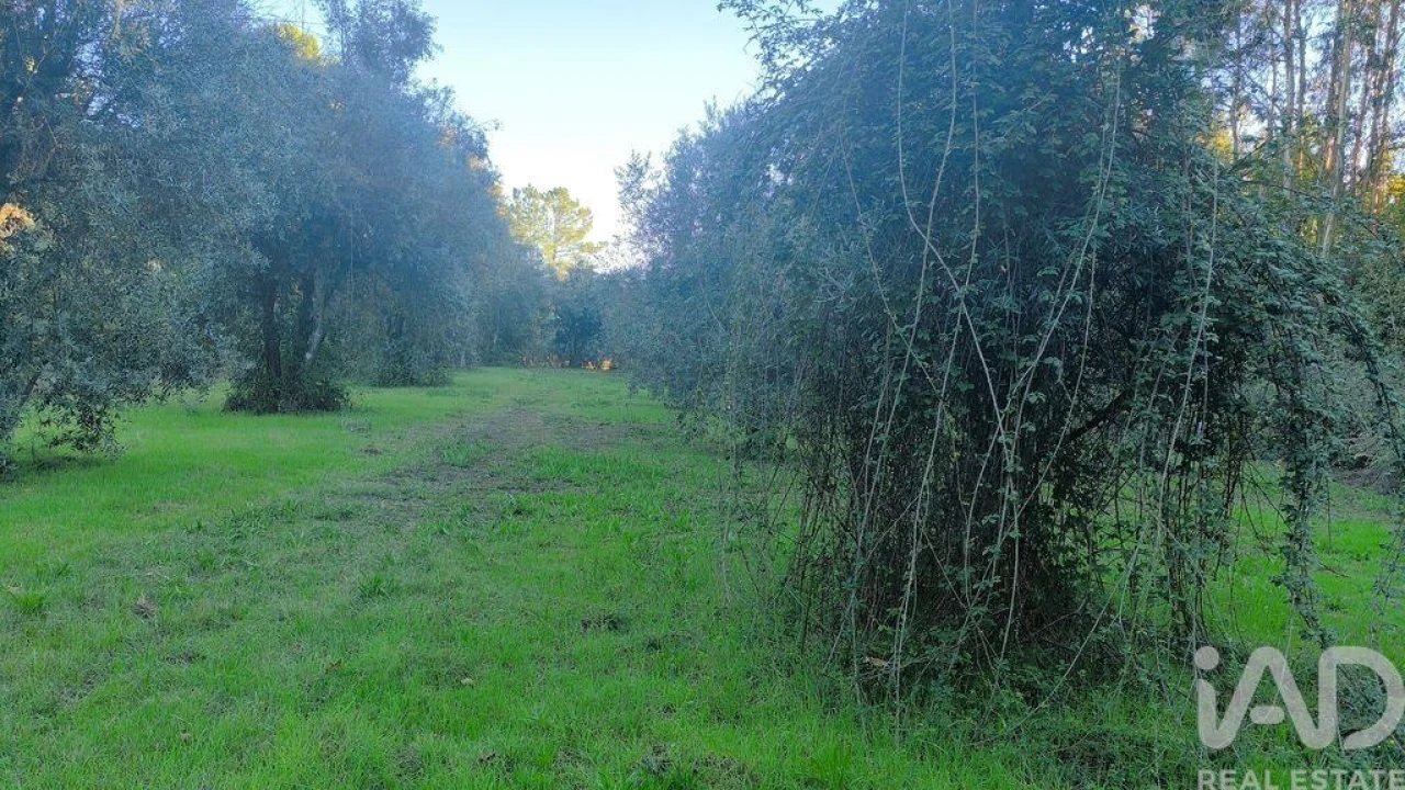 Terreno para Venda em São Cipriano e Vil de Souto Foto 17