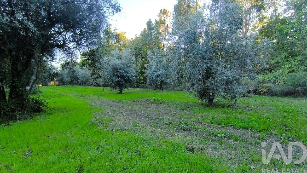 Terreno para Venda em São Cipriano e Vil de Souto Foto 18