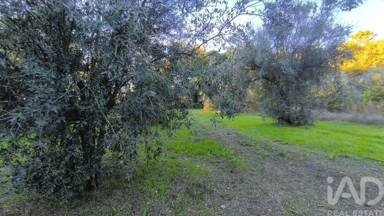 Terreno para Venda em São Cipriano e Vil de Souto Foto 25