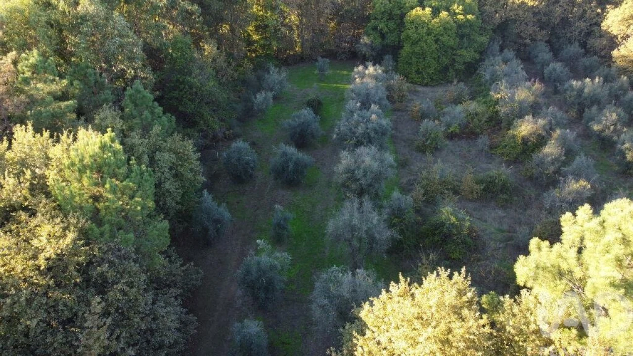 Terreno para Venda em São Cipriano e Vil de Souto Foto 10