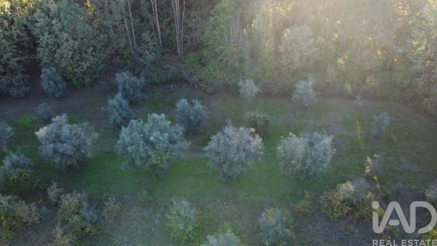 Terreno para Venda em São Cipriano e Vil de Souto Foto 4