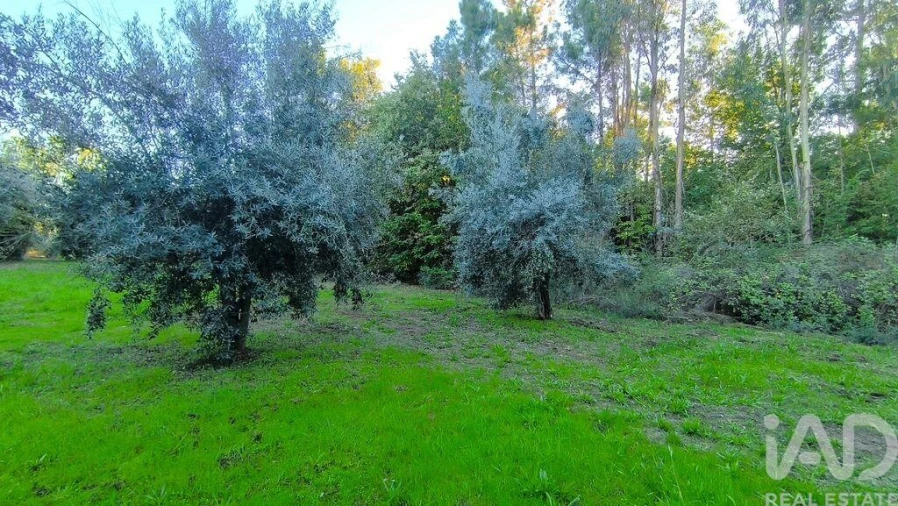 Terreno para Venda em São Cipriano e Vil de Souto Foto 24