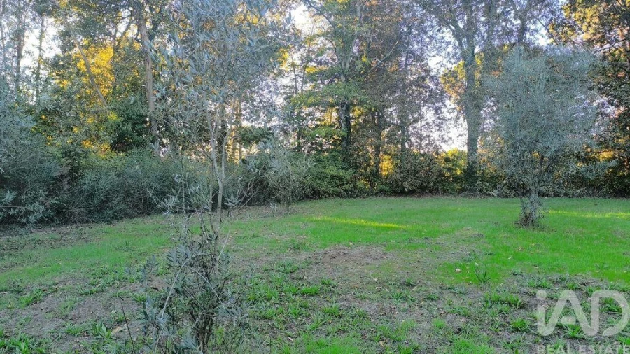 Terreno para Venda em São Cipriano e Vil de Souto Foto 21