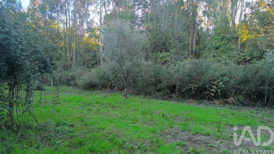 Terreno para Venda em São Cipriano e Vil de Souto Foto 22