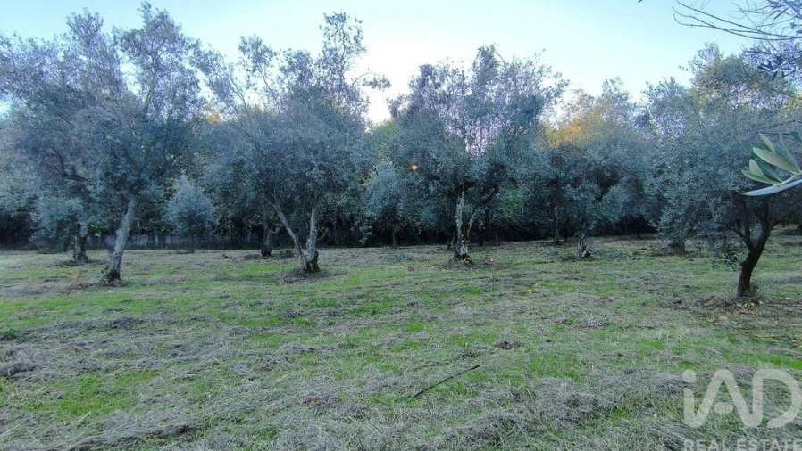 Terreno para Venda em São Cipriano e Vil de Souto Foto 37