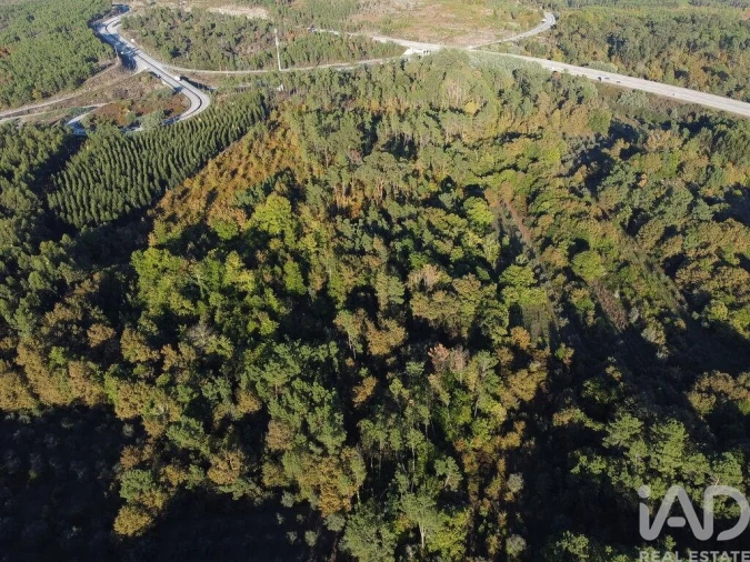 Terreno para Venda em São Cipriano e Vil de Souto Foto 7