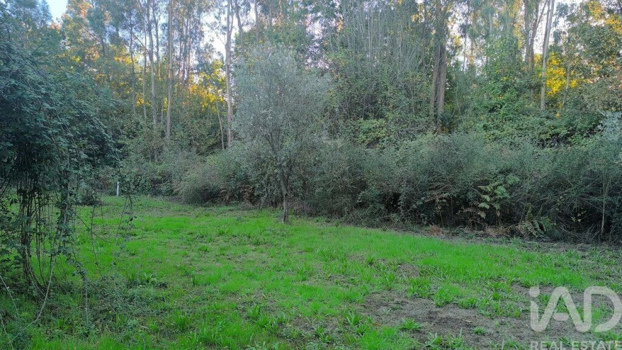 Terreno para Venda em São Cipriano e Vil de Souto Foto 22