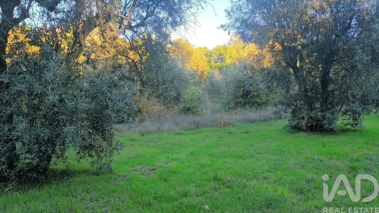 Terreno para Venda em São Cipriano e Vil de Souto Foto 16