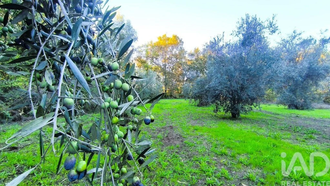 Terreno para Venda em São Cipriano e Vil de Souto Foto 30