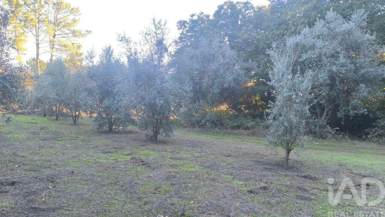 Terreno para Venda em São Cipriano e Vil de Souto Foto 13