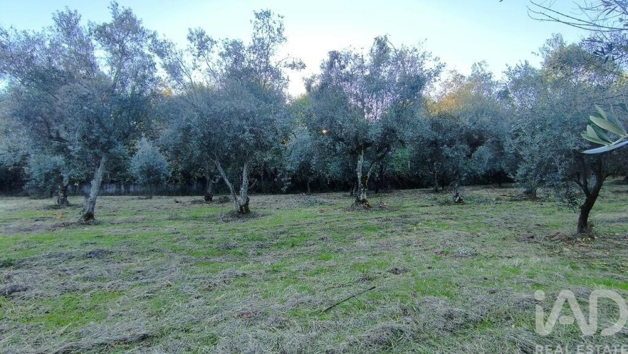 Terreno para Venda em São Cipriano e Vil de Souto Foto 37