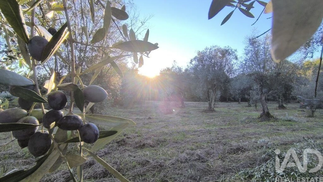 Terreno para Venda em São Cipriano e Vil de Souto Foto 33
