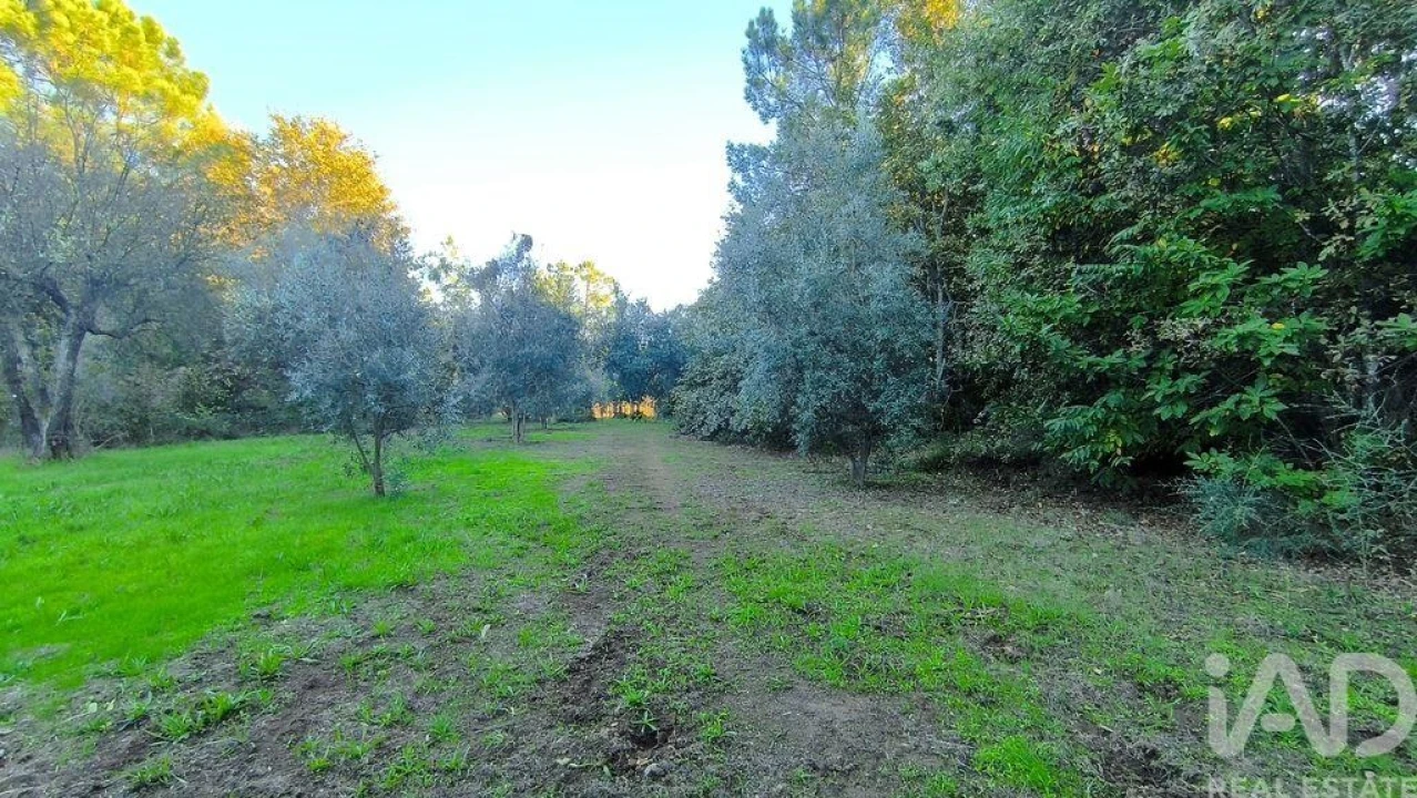 Terreno para Venda em São Cipriano e Vil de Souto Foto 28