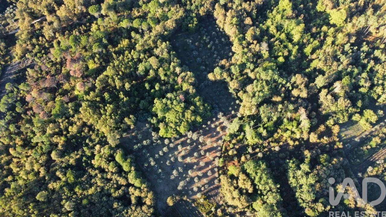 Terreno para Venda em São Cipriano e Vil de Souto Foto 1