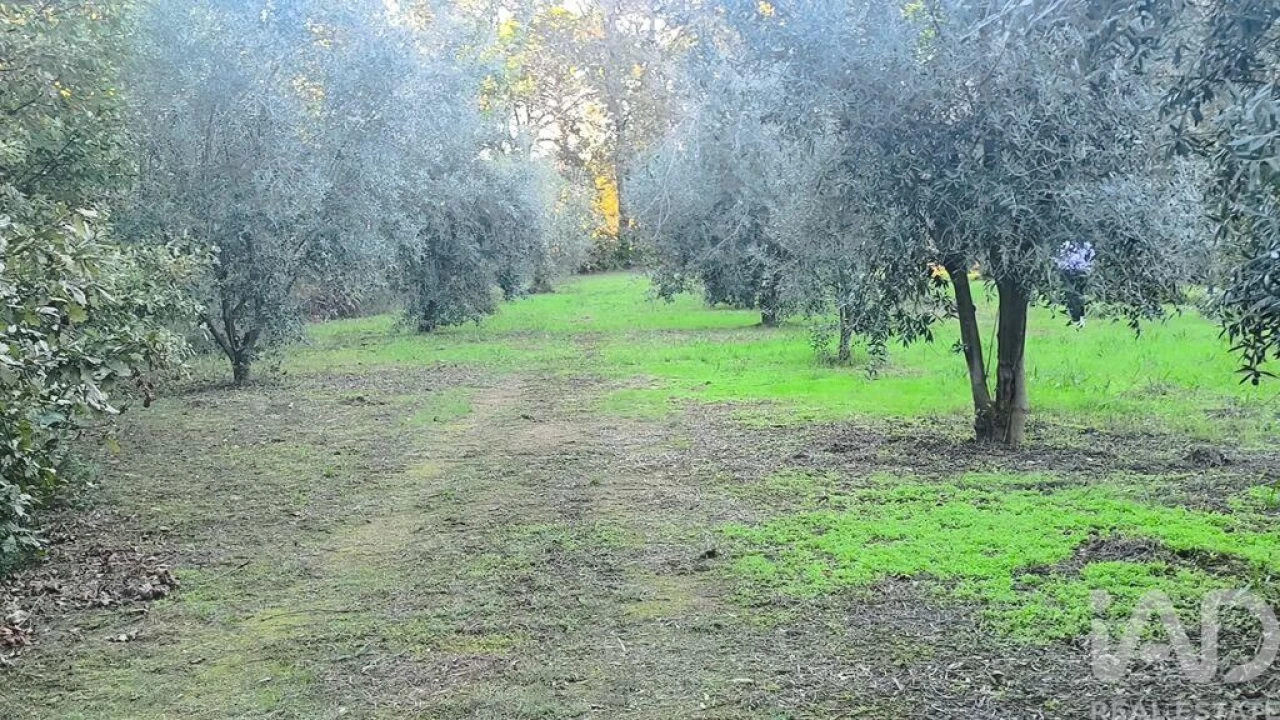 Terreno para Venda em São Cipriano e Vil de Souto Foto 19