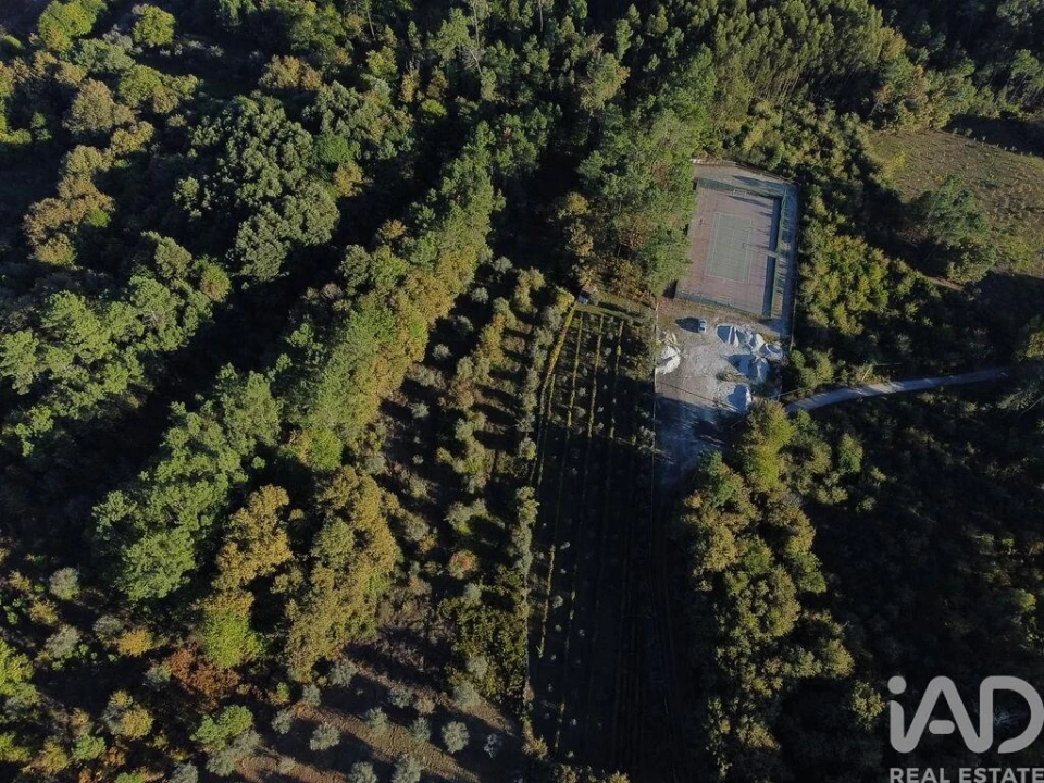 Terreno para Venda em São Cipriano e Vil de Souto Foto 6