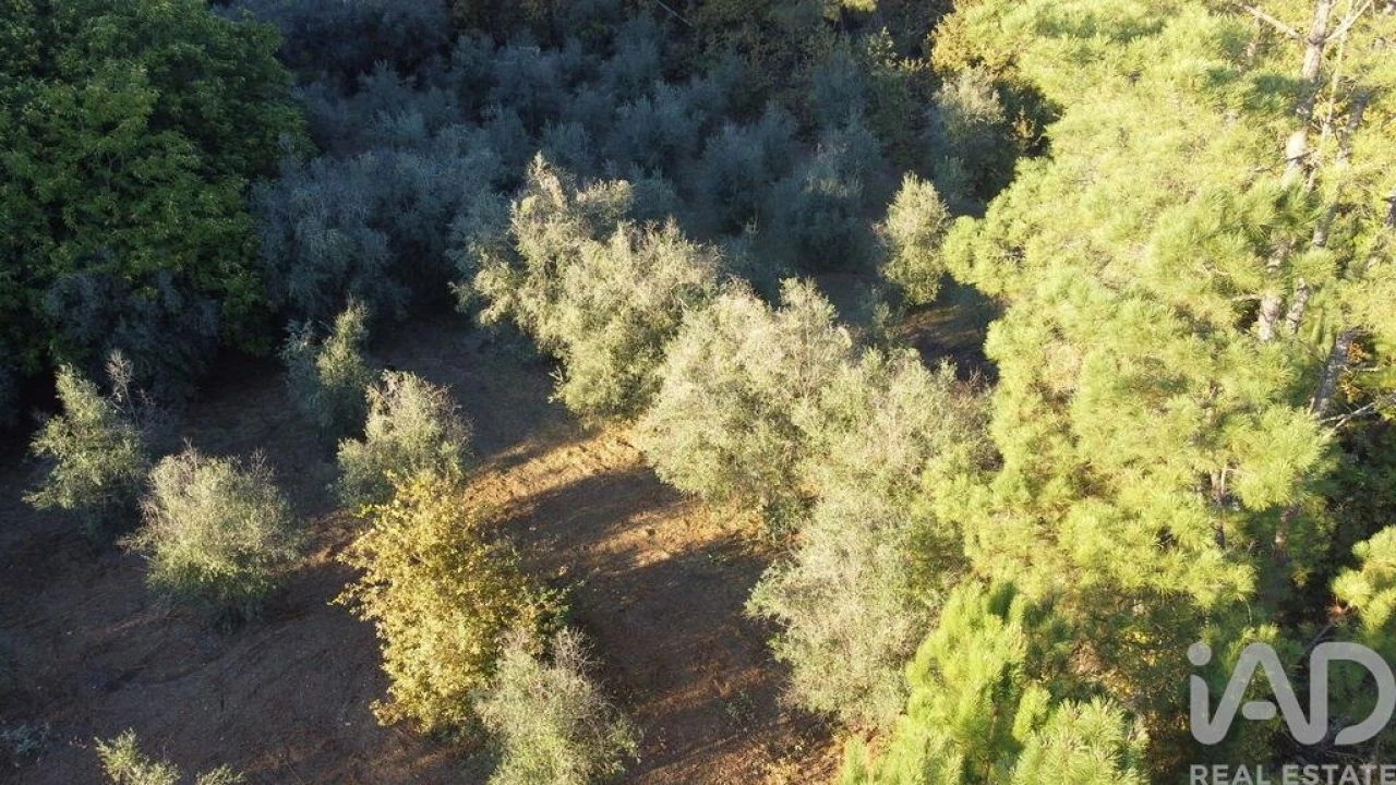 Terreno para Venda em São Cipriano e Vil de Souto Foto 5