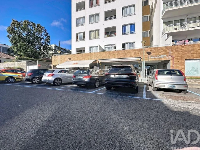 Loja para Venda em São Martinho Foto 14