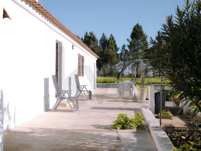 Moradia T3 para Venda em Abela Foto 7