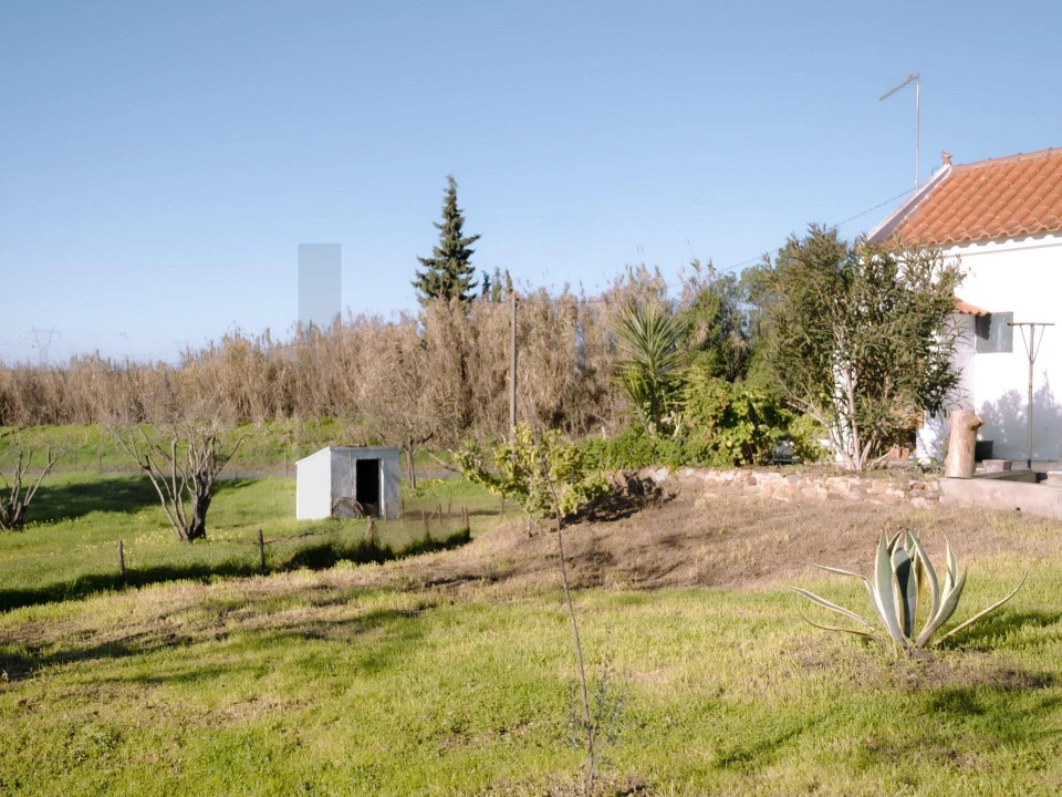 Moradia T3 para Venda em Abela Foto 3