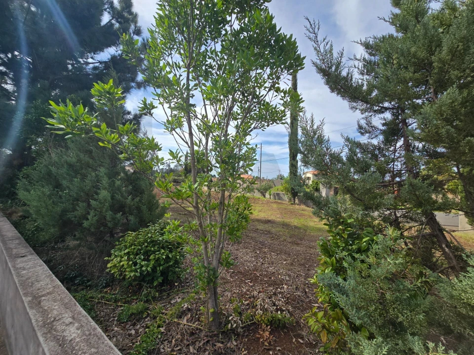 Terreno para Venda em Prazeres Foto 38