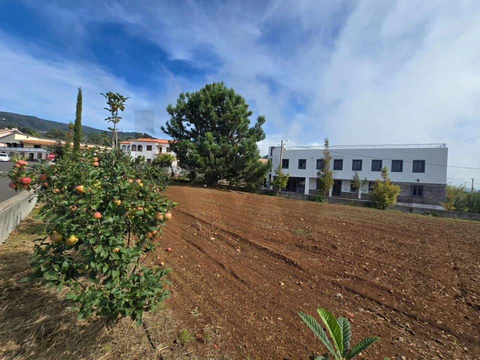 Terreno para Venda em Prazeres Foto 26