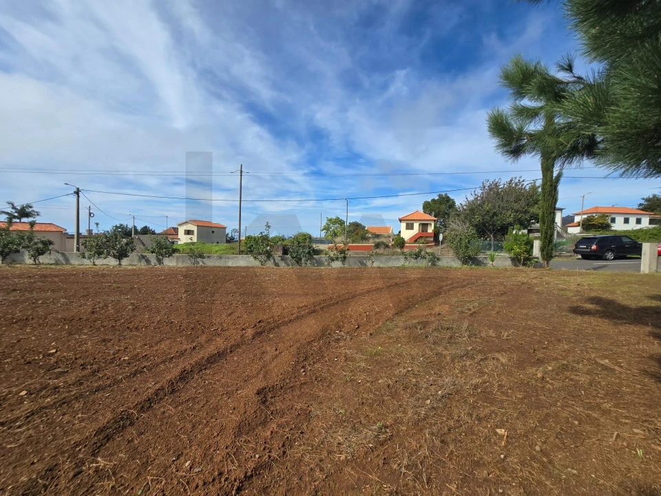 Terreno para Venda em Prazeres Foto 9