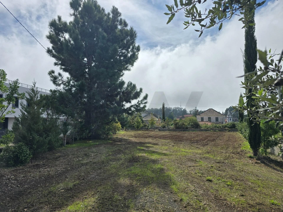 Terreno para Venda em Prazeres Foto 4