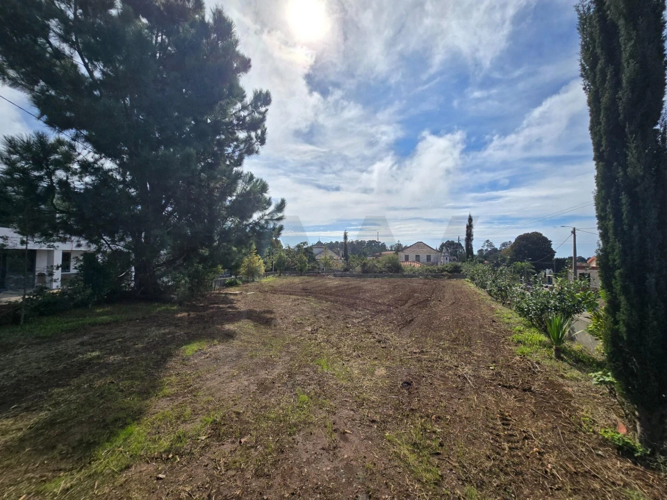 Terreno para Venda em Prazeres Foto 35