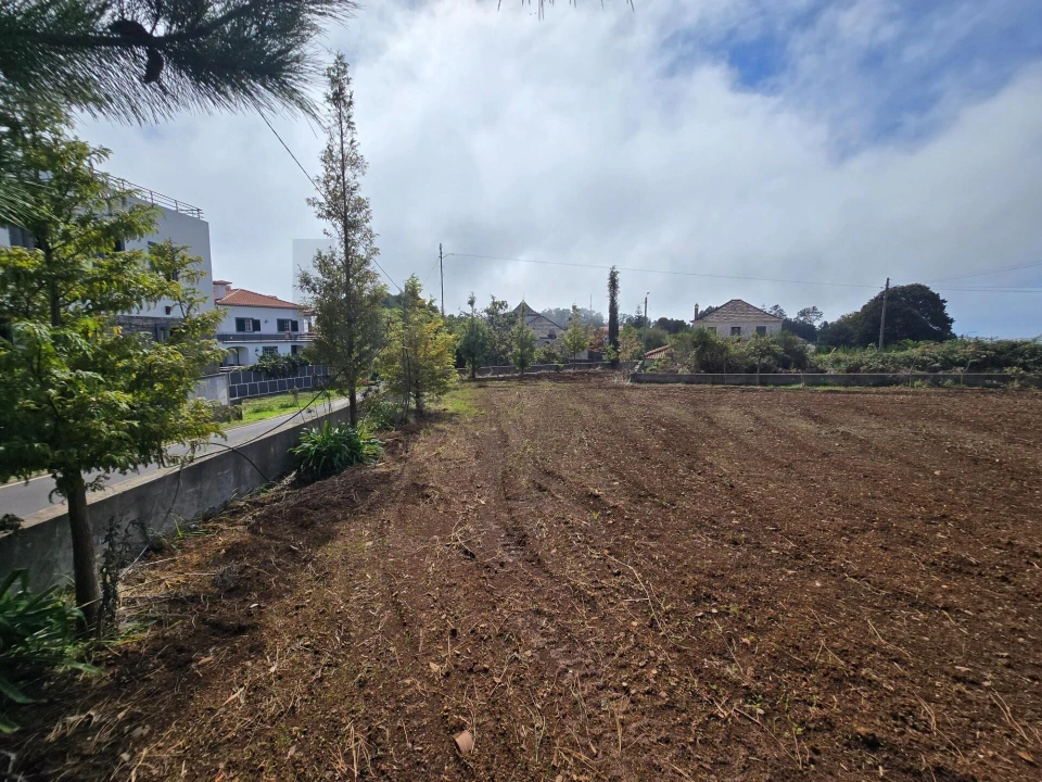 Terreno para Venda em Prazeres Foto 5