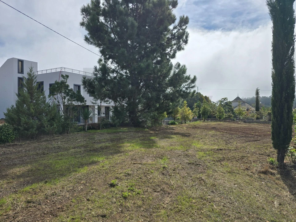 Terreno para Venda em Prazeres Foto 3