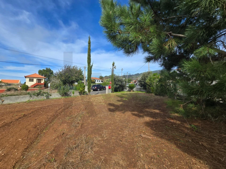 Terreno para Venda em Prazeres Foto 10