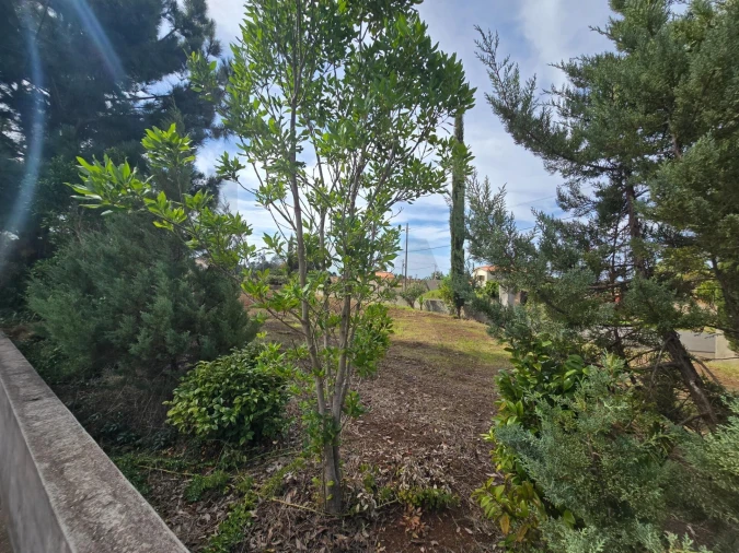 Terreno para Venda em Prazeres Foto 38