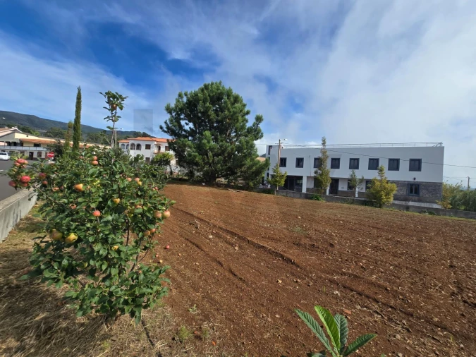 Terreno para Venda em Prazeres Foto 26