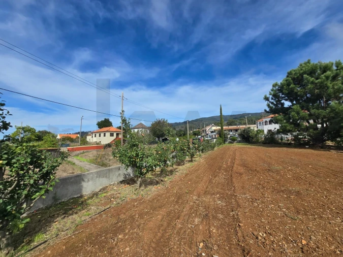 Terreno para Venda em Prazeres Foto 22