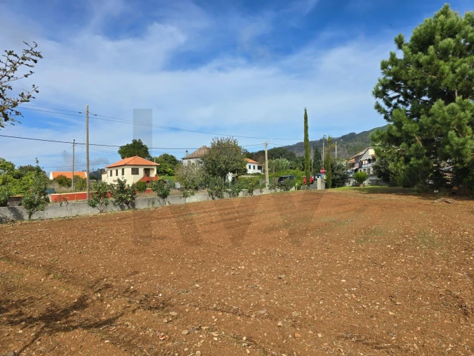 Terreno para Venda em Prazeres Foto 16