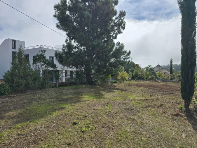 Terreno para Venda em Prazeres Foto 3