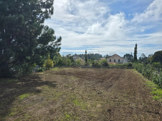Terreno para Venda em Prazeres Foto 34