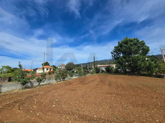 Terreno para Venda em Prazeres Foto 19