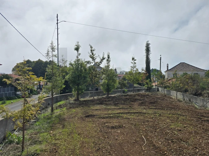 Terreno para Venda em Prazeres Foto 12