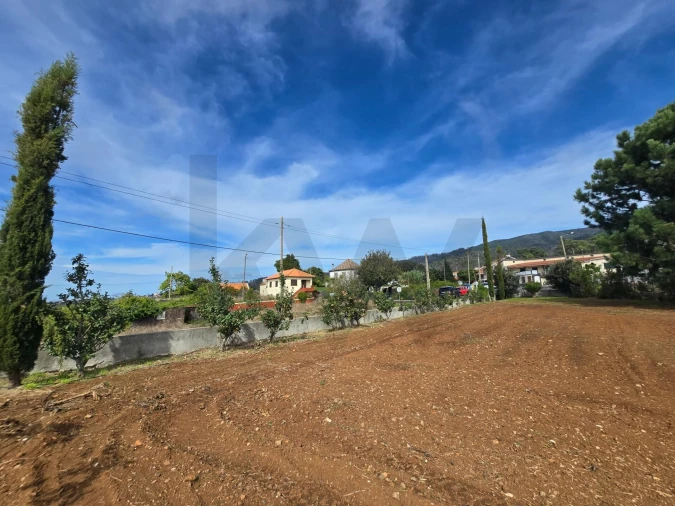 Terreno para Venda em Prazeres Foto 18