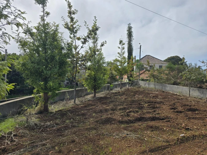 Terreno para Venda em Prazeres Foto 13